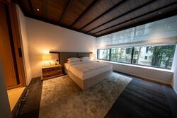 21 Anderson (D10), Condominium #517452731